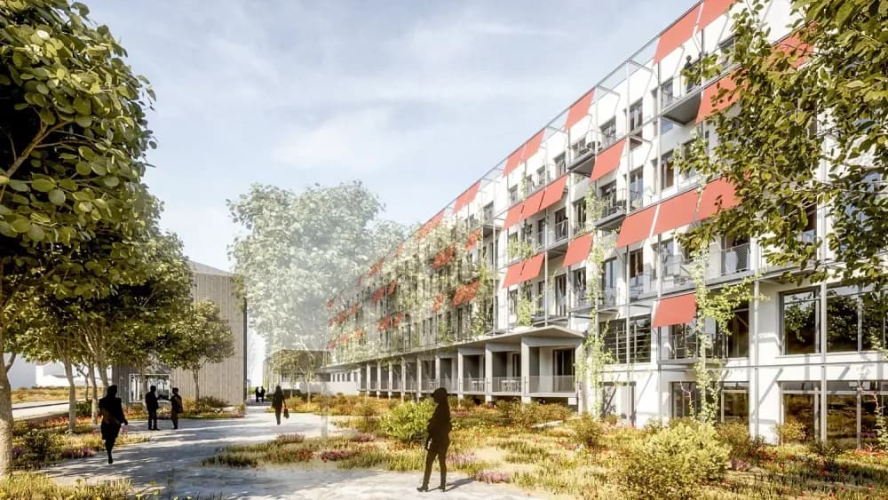 Office Rue du Chêne 5