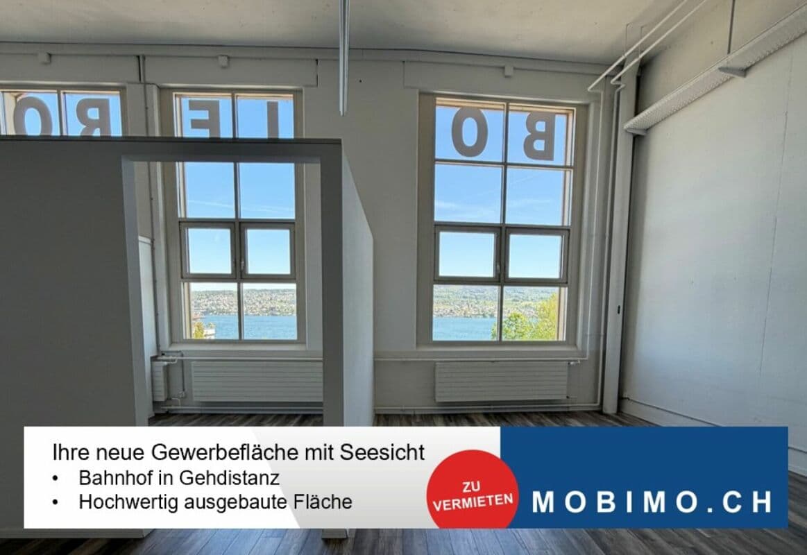 Gewerbe an Seestrasse 91, 8810 Horgen